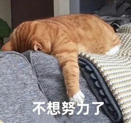 DƬ